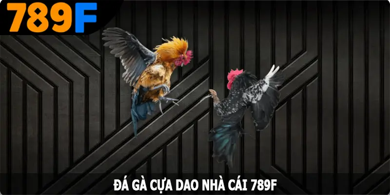 Đá Gà Cựa Dao - Khám Phá Luật Chơi Đơn Giản Từ 789F 3 Đá Gà Cựa Dao - Khám Phá Luật Chơi Đơn Giản Từ 789F