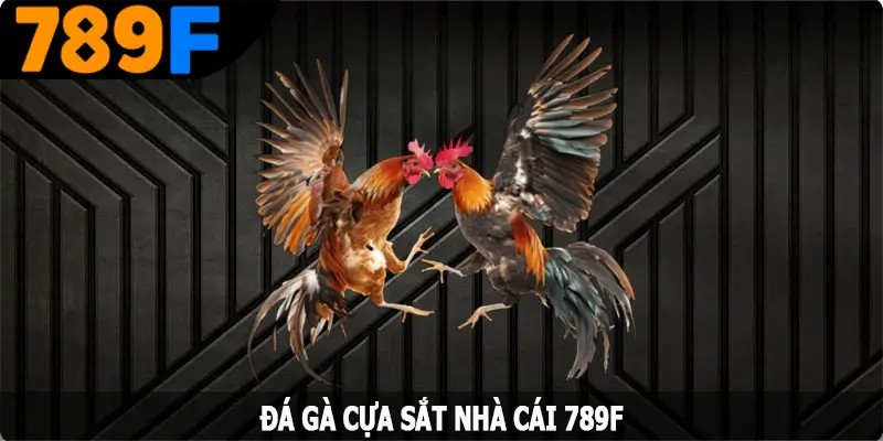 Đá Gà Cựa Sắt - Màn Thi Đấu Mãn Nhãn Với Chiến Kê Hàng Đầu 4 Đá Gà Cựa Sắt - Màn Thi Đấu Mãn Nhãn Với Chiến Kê Hàng Đầu