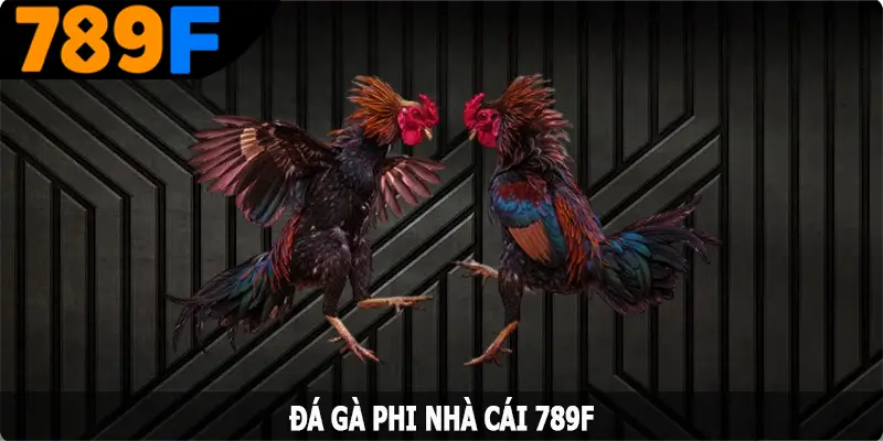 Đá Gà Phi - Hình Thức Cá Cược Hấp Dẫn Hàng Đầu Tại 789F 5 Đá Gà Phi - Hình Thức Cá Cược Hấp Dẫn Hàng Đầu Tại 789F
