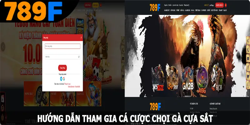 Hướng dẫn tham gia cá cược chọi gà cựa sắt tại 789F Hướng dẫn tham gia cá cược chọi gà cựa sắt tại 789F
