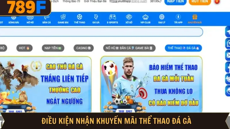 Quy định khi nhận ưu đãi tại sảnh thể thao đá gà Quy định khi nhận ưu đãi tại sảnh thể thao đá gà