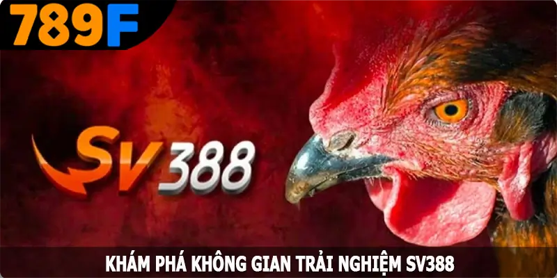 Khám phá không gian trải nghiệm SV388 Khám phá không gian trải nghiệm SV388