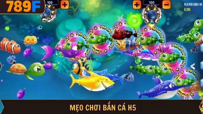 Mẹo Chơi Bắn Cá H5 789F: Bí Quyết Thắng Lớn, Tối Ưu Hóa Vốn 1 Mẹo Chơi Bắn Cá H5 789F: Bí Quyết Thắng Lớn, Tối Ưu Hóa Vốn