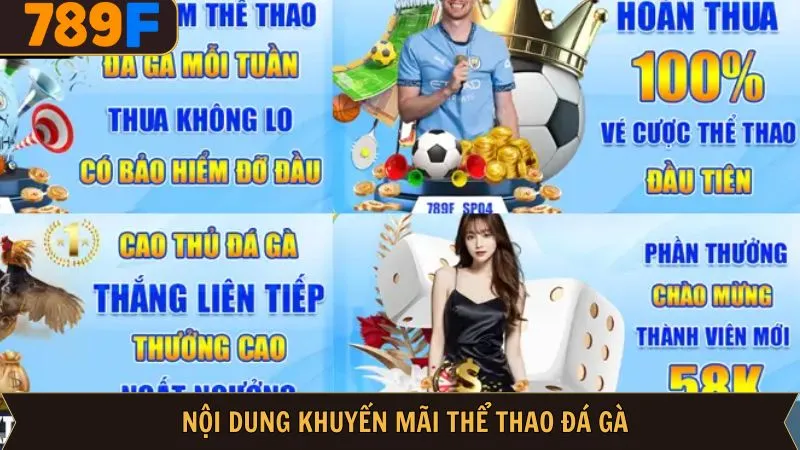 Các chương trình khuyến mãi thể thao đá gà hấp dẫn Các chương trình khuyến mãi thể thao đá gà hấp dẫn
