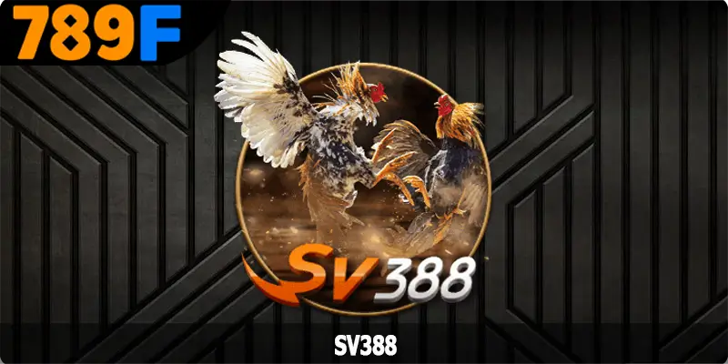 SV388 - Sân Chơi Chọi Kê Nổi Tiếng Nhất Năm 2025 2 SV388 - Sân Chơi Chọi Kê Nổi Tiếng Nhất Năm 2025
