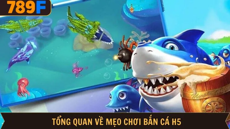 Đôi nét sơ lược về mẹo chơi bắn cá H5 Đôi nét sơ lược về mẹo chơi bắn cá H5